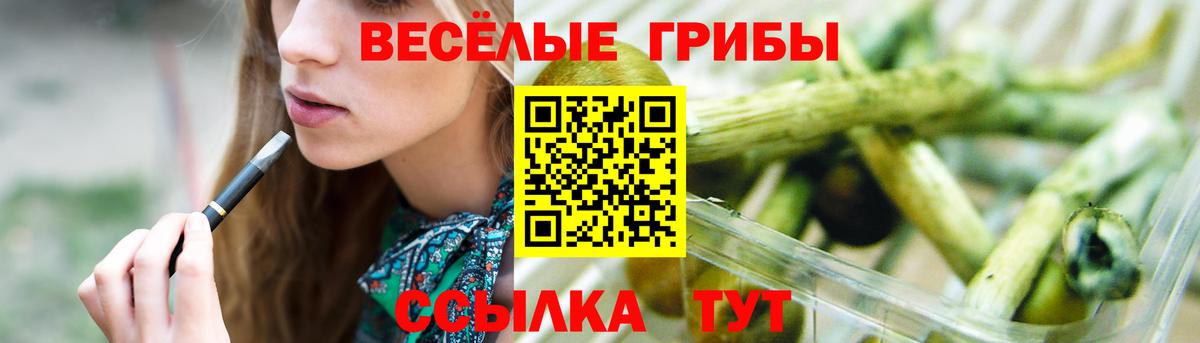 Псилоцибиновые грибы Magic Shrooms  Вход с VPN  Каменск-Шахтинский 